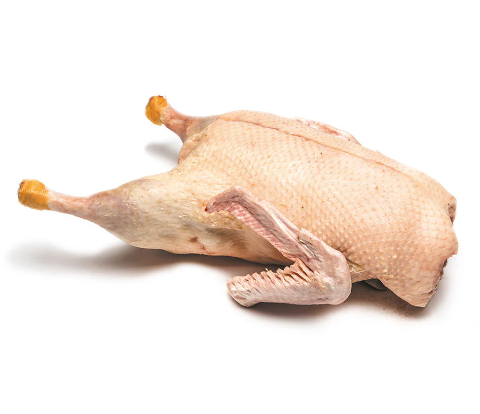 Duck 2kg approx - Image 3